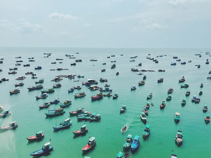 Photo by Đăng Nguyễn on Unsplash